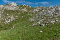 Obalj, Zelengora