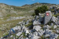 Zelengora