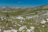 Zelengora