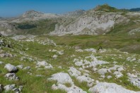 Zelengora