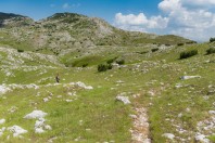 Zelengora