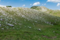 Zelengora