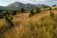 Gvozno polje, Treskavica