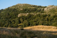 Gvozno polje, Treskavica