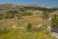 Gvozno polje, Treskavica
