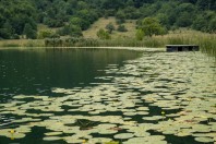 Crvanjsko jezero