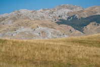 Plužine