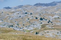 Necropolis, Plužine