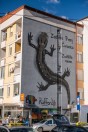 Salamandra atra, Jablanica