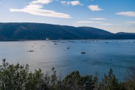 Svitava