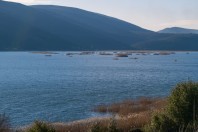 Svitava