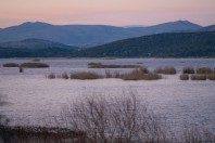 Svitava