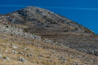 Popovo polje