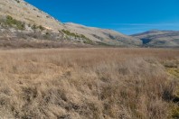 Popovo polje