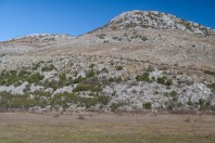 Popovo polje