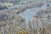 řeka Morava