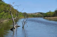 Ropotamo river