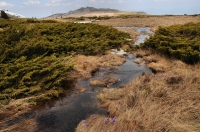 Vitosha