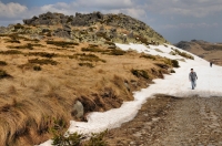 Vitosha