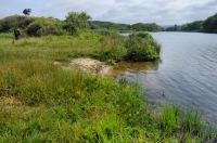Veleka