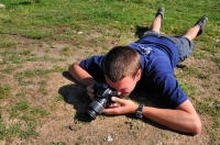 Photographing the Podarcis tauricus, Zvezdets