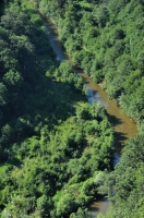 The Velek river from PEtrova Niva