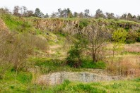 Poda