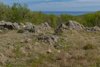 Primorsko