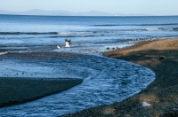 Mouth of Tárcoles River