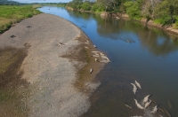 Tárcoles River