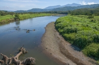 Tárcoles River