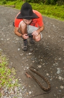 Thomas with dead Bothrops asper