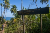 Manzanillo