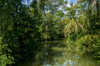 Puerto Viejo de Talamanca