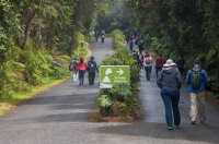 The most visited national park in Costa Rica - NP Volcano Poás 