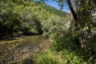 Una Spring