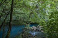 Una Spring