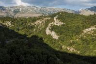 Dinarides