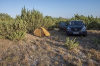Camp, Verivode