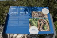 Reptiles, Lake Vrana