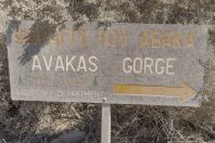 Avakas Gorge