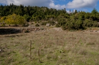 Habitat poblíž Kosmas