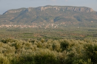 Landscape near Asopou