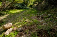 Habitat of Anguis cephallonica, Chimara