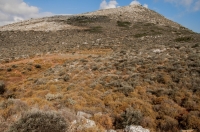 Habitat of Vipera ammodytes, Mani