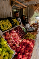 Sale of vegetables