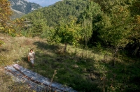 Habitat of Anguis cephallonica, Taygetus Mts.