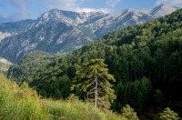 Taygetus Mts.