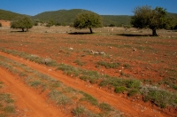 Locality near Karyes