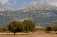 Feneos planina